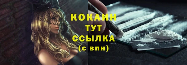 PSILOCYBIN Аркадак