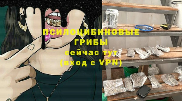 PSILOCYBIN Аркадак