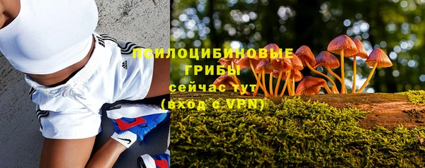 прущие крисы Арсеньев