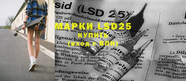 PSILOCYBIN Аркадак