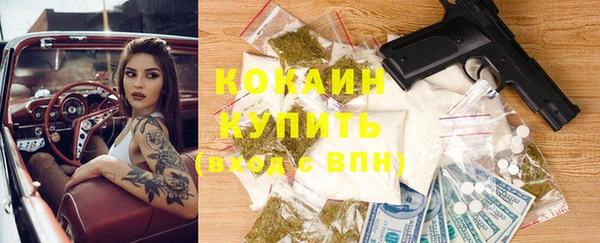PSILOCYBIN Аркадак