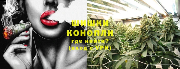 PSILOCYBIN Аркадак