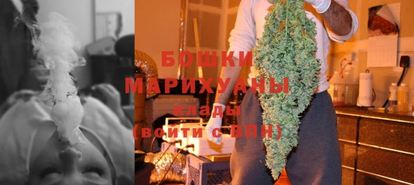 прущие крисы Арсеньев