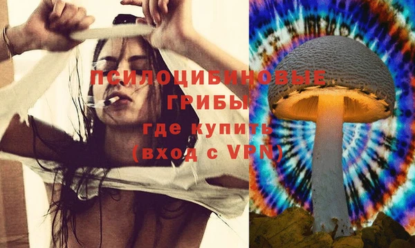 прущие крисы Арсеньев