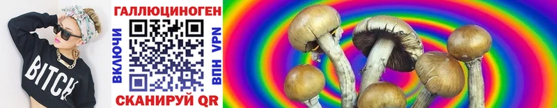 Галлюциногенные грибы Cubensis  Сокол 